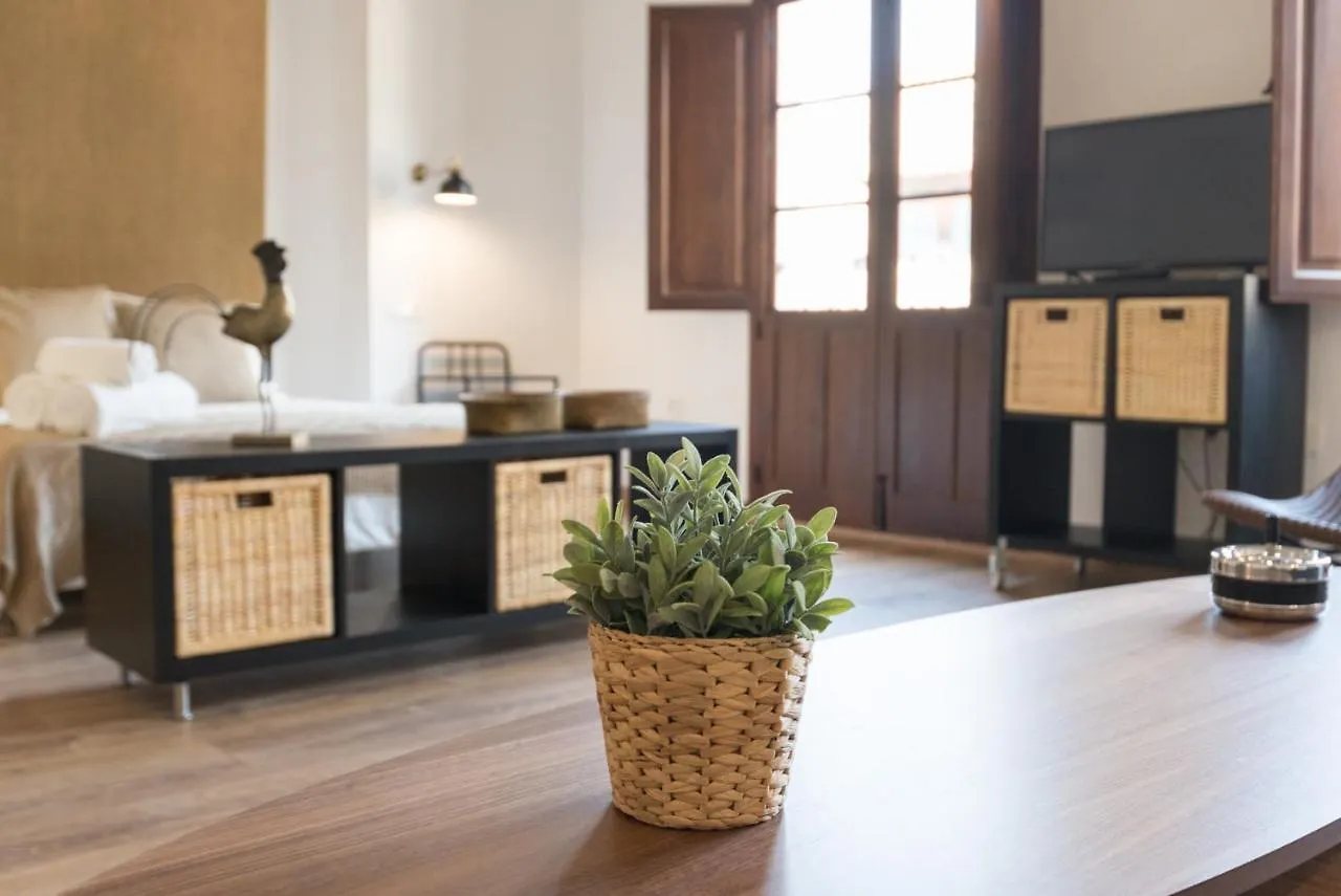 Santiago Premium Loft III Lägenhet Málaga 0*,