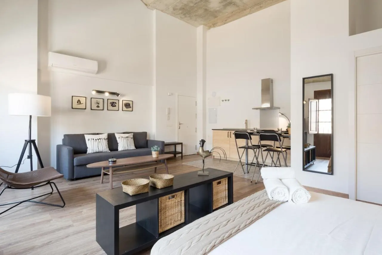 Santiago Premium Loft III Appartement Málaga